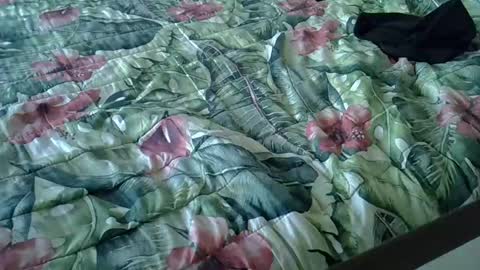 Snapshot of stel7621 chatting on 01.15.25 Rocco-load online show from 01.15.25