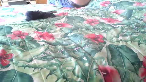 Snapshot of stel7621 chatting on 10.16.25 Rocco-load online show from 10.16.25