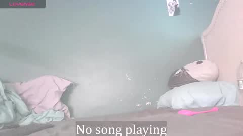 Stella Clitella online show from 11.21.25