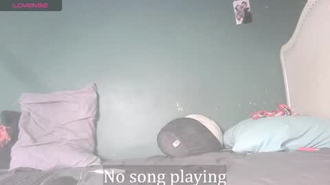 Stella Clitella online show from 11.24.25