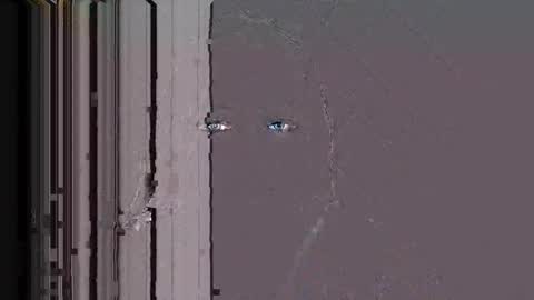 Stellaven online show from 01.10.26