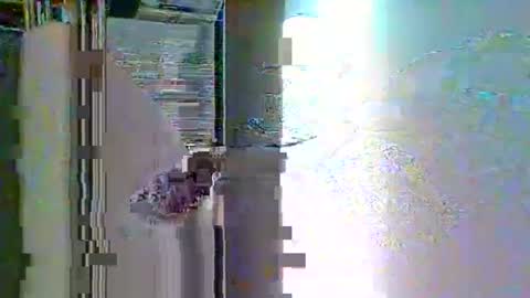 Ian23602 online show from 01.06.26