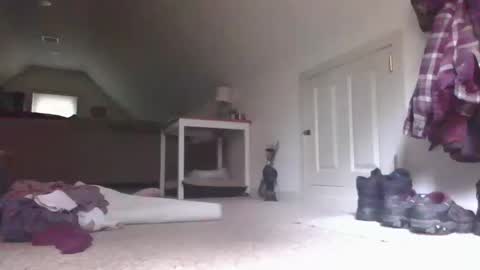 steve online show from 10.13.25