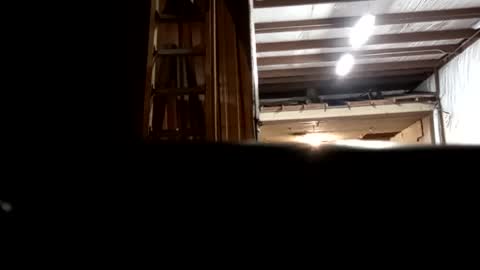 Snapshot of stokely571996 chatting on 12.16.24 Oval2022 online show from 12.16.24