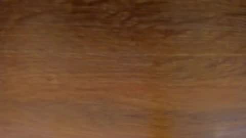 Stone Lee  online show from 02.13.25