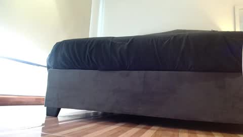 storm_hanks online show from 01.14.26