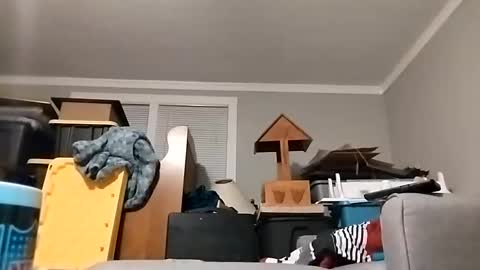 Streetwyze online show from 10.23.25