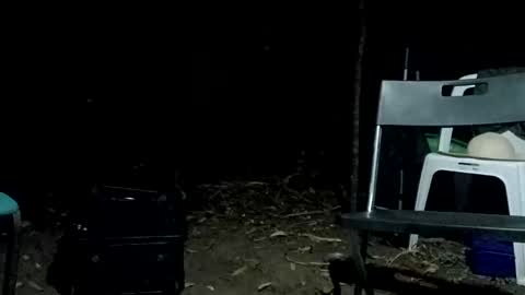 Snapshot of stroll0695 chatting on 02.12.25 Bigdickdugan online show from 02.12.25