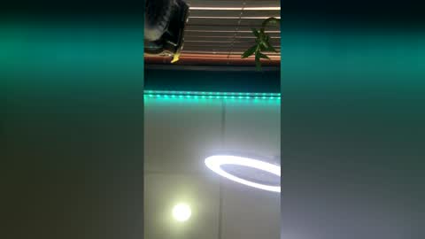 Snapshot of strong_rock69 chatting on 03.28.26 strong_rock69 online show from 03.28.26