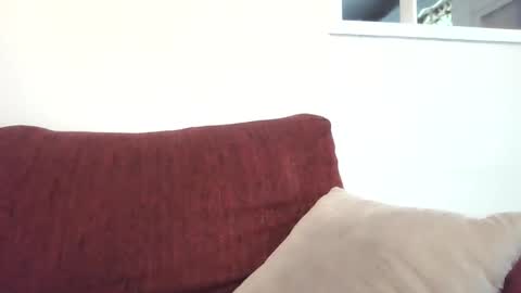 stud4cougar online show from 12.08.24