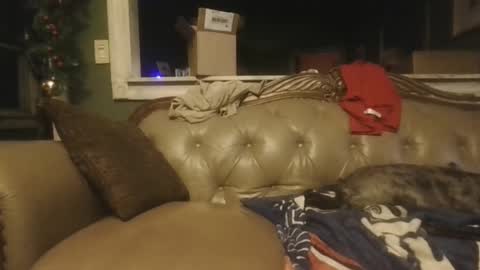 Snapshot of sub_michael41 chatting on 12.21.24 sub_michael41 online show from 12.21.24