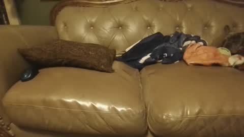 Snapshot of sub_michael41 chatting on 01.21.25 sub_michael41 online show from 01.21.25