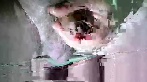 Martin sweetboy online show from 10.20.25