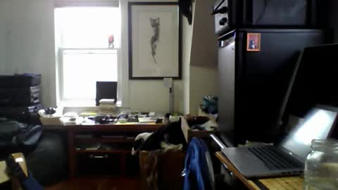 Snapshot of sugardotdom chatting on 04.14.26 Sugar online show from 04.14.26