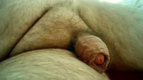 Snapshot of sugus56 chatting on 10.28.25 Samenspender online show from 10.28.25