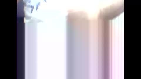 suleyman38 online show from 02.17.25