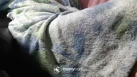 sven online show from 11.06.25