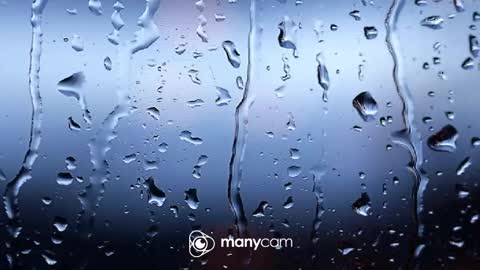 sven online show from 02.10.26