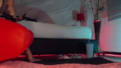    online show from 12.17.24