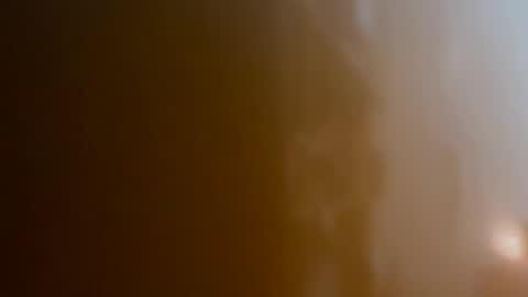 tylorgerman online show from 01.18.26