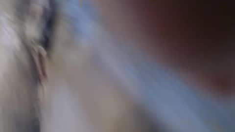 Suzy online show from 03.22.26