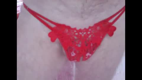 Snapshot of sv27 chatting on 01.20.25 sv27 online show from 01.20.25