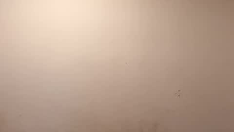 sweaterboy666 online show from 03.10.26