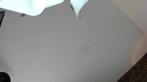 Vanessa online show from 04.05.26