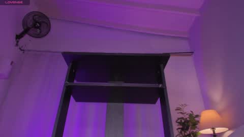 Diana online show from 01.19.25