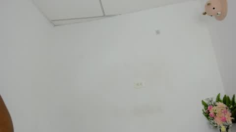 Snapshot of sweet_litle chatting on 05.13.26 sweet_litle online show from 05.13.26