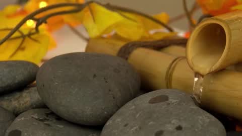 Sandra online show from 10.26.25