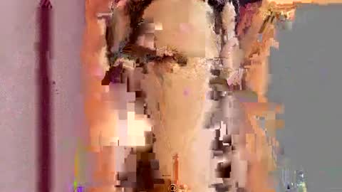          online show from 07.15.26