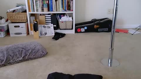 Heidi Brenner - Please check bio for schedule  FAQ online show from 01.28.25