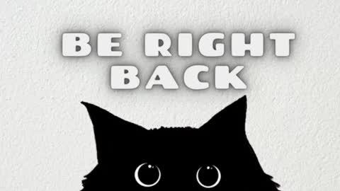       Independent model online show from 12.25.24