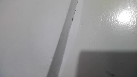 Stacy online show from 04.13.26