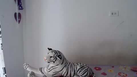sweetgirsl online show from 04.29.26