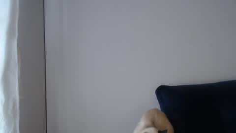 Snapshot of sweethoney22_ chatting on 04.29.26 Sabrina y Eliot online show from 04.29.26