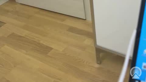 Snapshot of sweetlovelyladylove chatting on 04.15.26 sweetlovelyladylove online show from 04.15.26