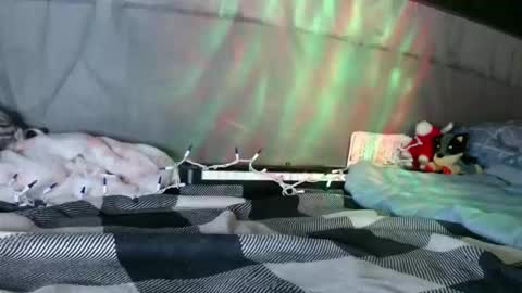 April online show from 01.12.26