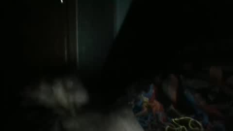 sweetpussylicks online show from 02.07.25