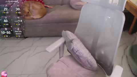 Pau online show from 04.25.26