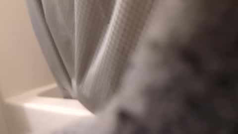 swollpole2112 online show from 09.14.25