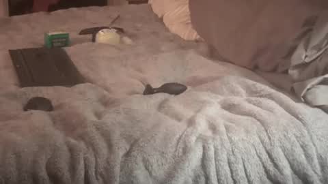 SissyDenver online show from 09.14.25