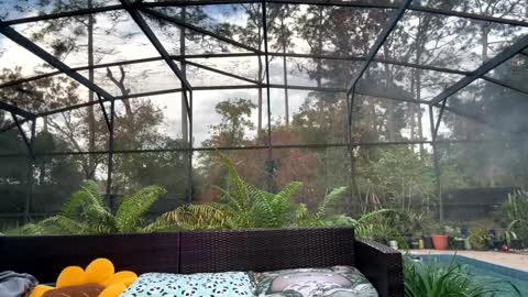 Jennah online show from 12.17.25