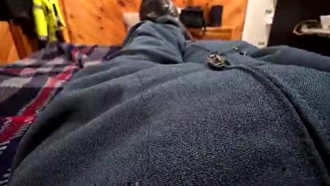 Canon online show from 01.11.26