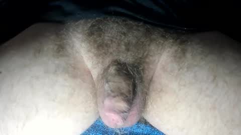 Snapshot of tacosize chatting on 02.13.25 mr taco online show from 02.13.25