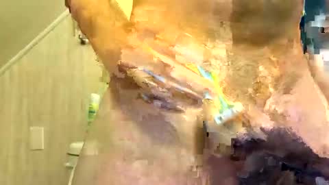 tailblazzer online show from 10.14.25