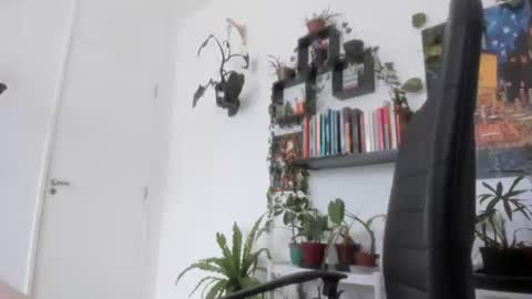 Tali Majid online show from 11.26.25