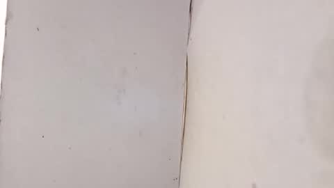 tall6feet7inch online show from 02.01.26