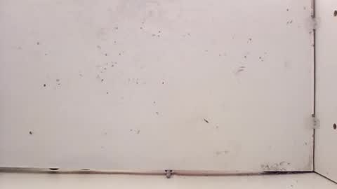 tall6feet7inch online show from 02.27.26